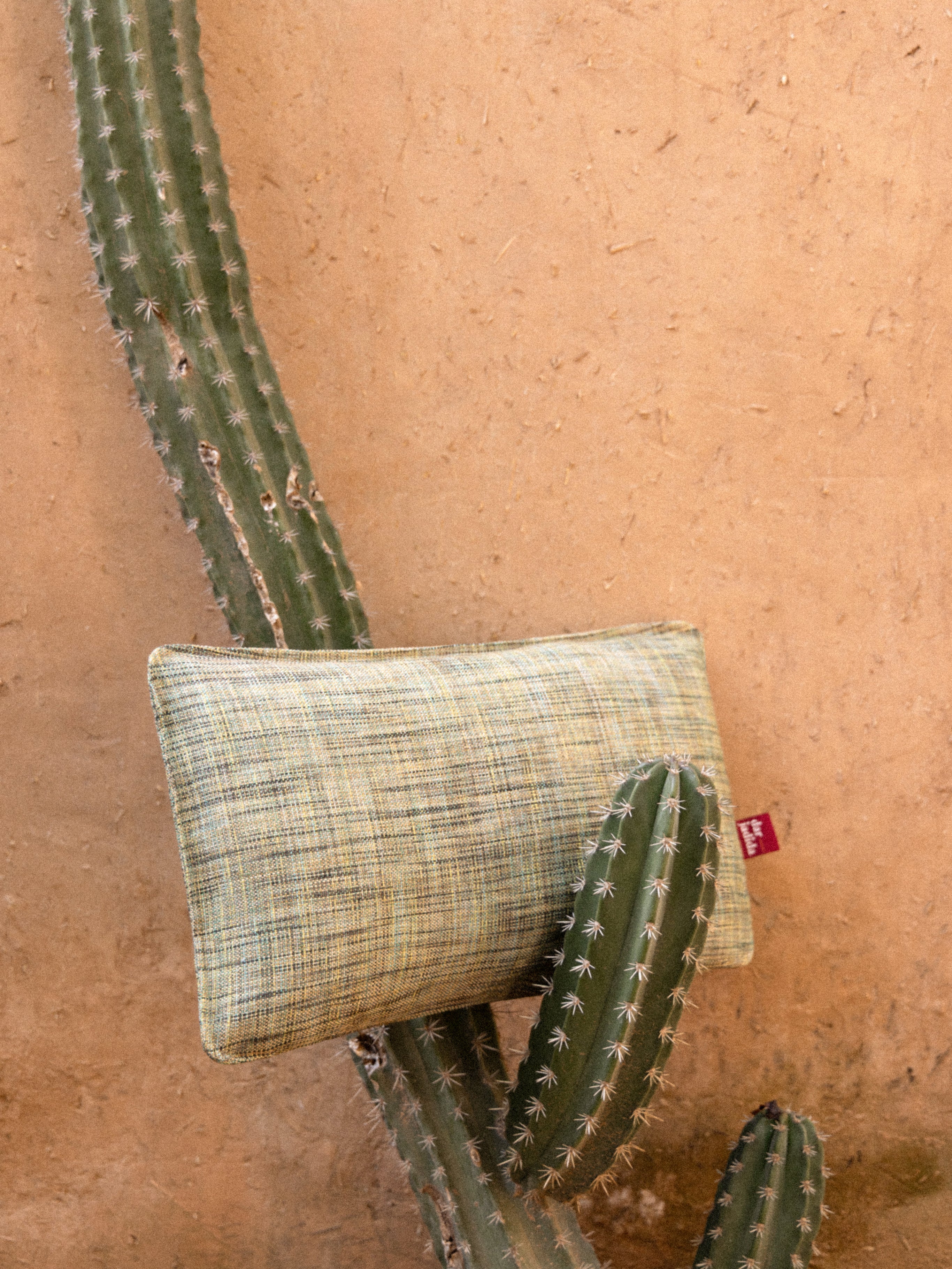 Coussin Tameslouht
