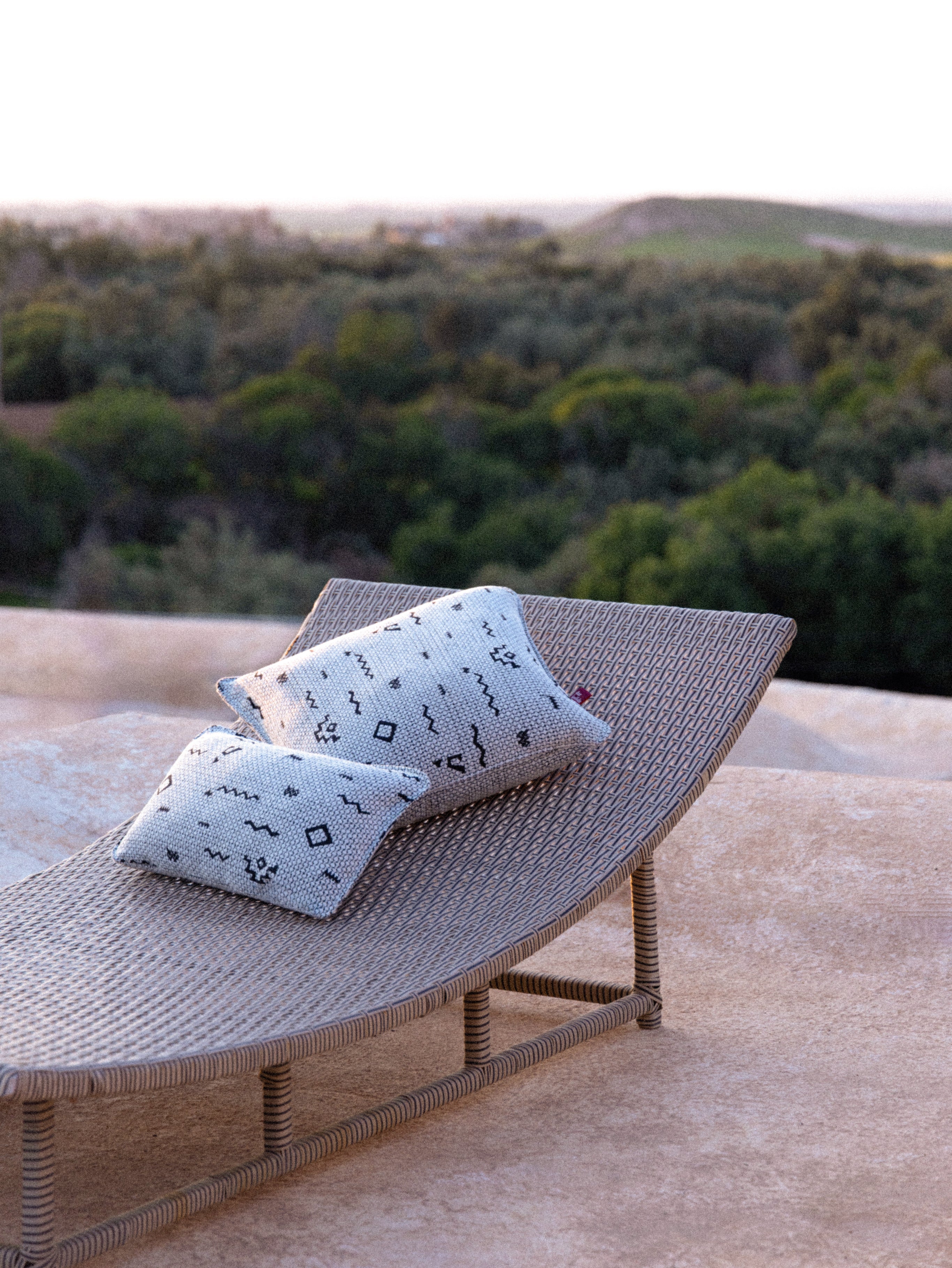Coussin Douyet